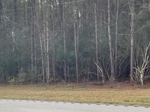 Tbd Highway 917, Loris, SC 29569
