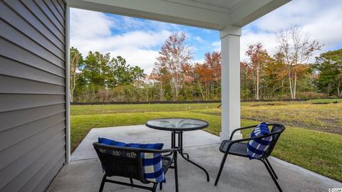 208 Seasons Trace Loop, Longs, SC 29568 photo 38