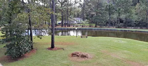 View/Area - 7101 Choppee Rd, Georgetown, SC 29440 photo 1 of 4