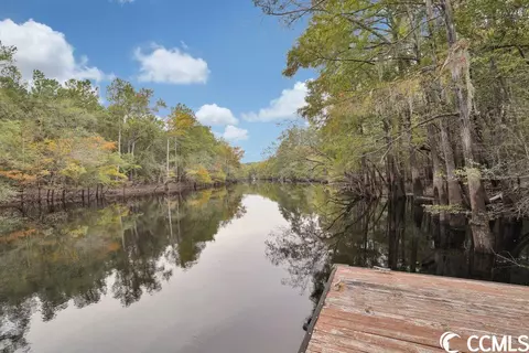 957 Cherrystone Loop, Conway, SC 29526 photo 39