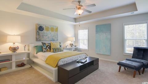 504 Pier Ct, Longs, SC 29568 photo 17