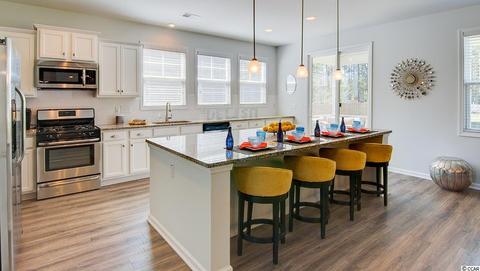 504 Pier Ct, Longs, SC 29568 photo 9