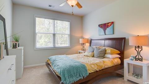 504 Pier Ct, Longs, SC 29568 photo 20