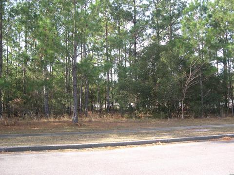lot140 Bridgeview Rd, Georgetown, SC 29440