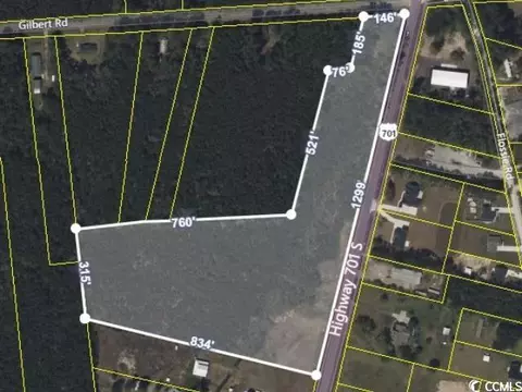 Tbd Highway 701 South, Conway, SC 29527