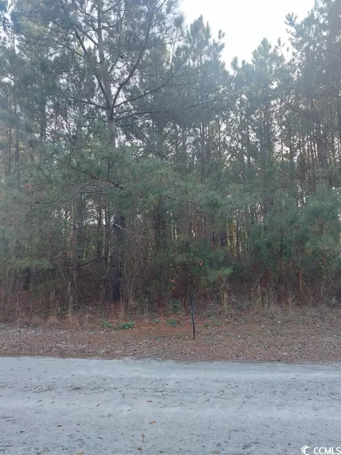 Lot #4 Louisville Rd., Aynor, SC 29511