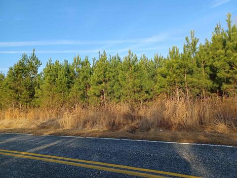 0 Hamp Rd, Mullins, SC 29574