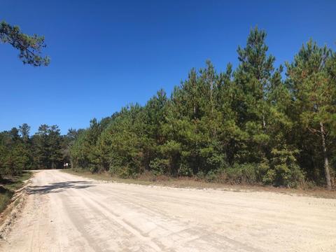 2230 Barts Rd, Loris, SC 29569