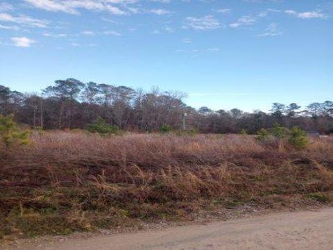 Tbd Shine Rd., Johnsonville, SC 29555
