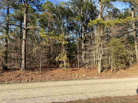 Tbd Sheppard Ct., Mullins, SC 29574