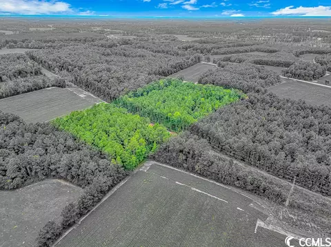 Lot 3 Red Bluff Rd., Loris, SC 29569