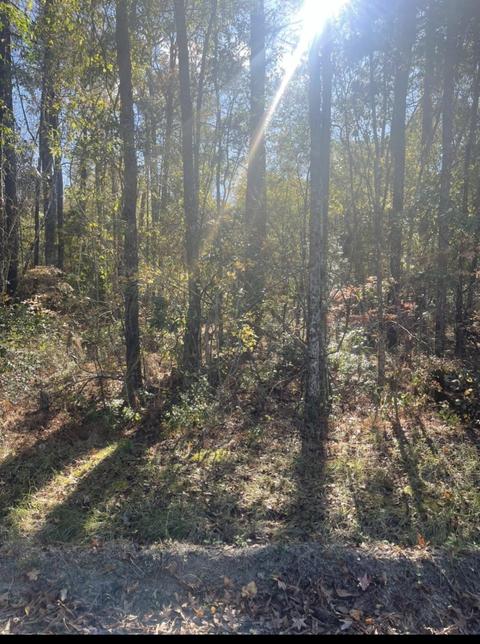 Lot 1 Casey Dr., Nichols, SC 29581