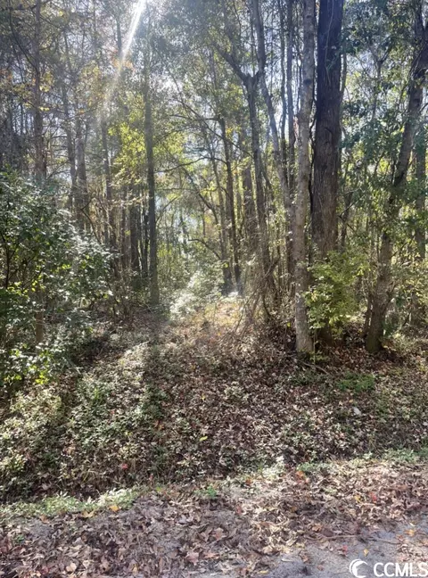Lot 2 Casey Dr., Nichols, SC 29581