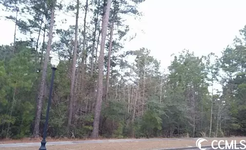78 Pineberry Dr, Georgetown, SC 29440