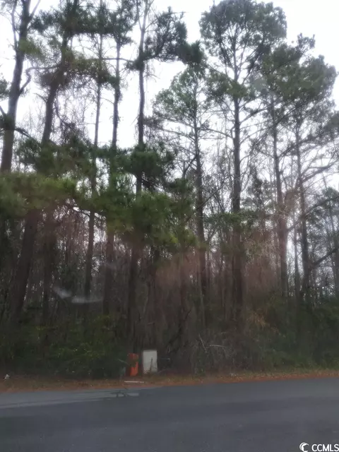 1898 Rolling Hills Dr, Conway, SC 29526