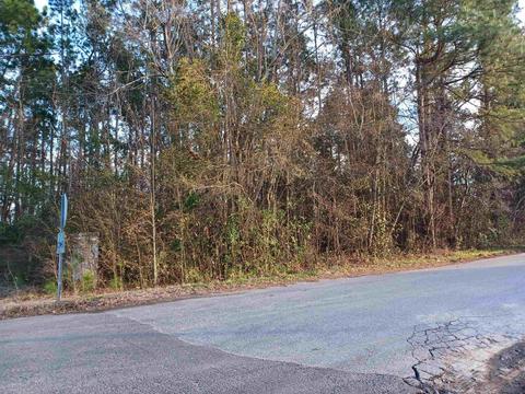 5211 Taft Watson Blvd, Centenary, SC 29519