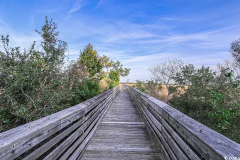 607 Millbrook Rd, Georgetown, SC 29440 photo 34