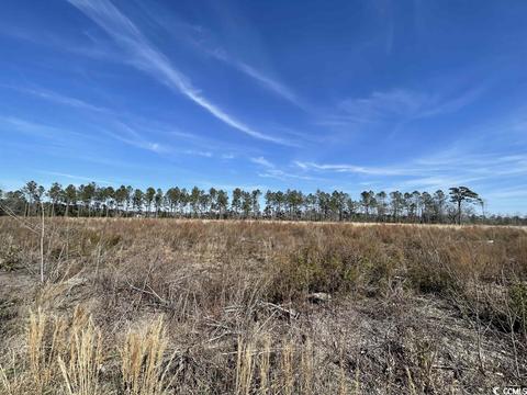 8742 W Highway 19, Loris, SC 29569