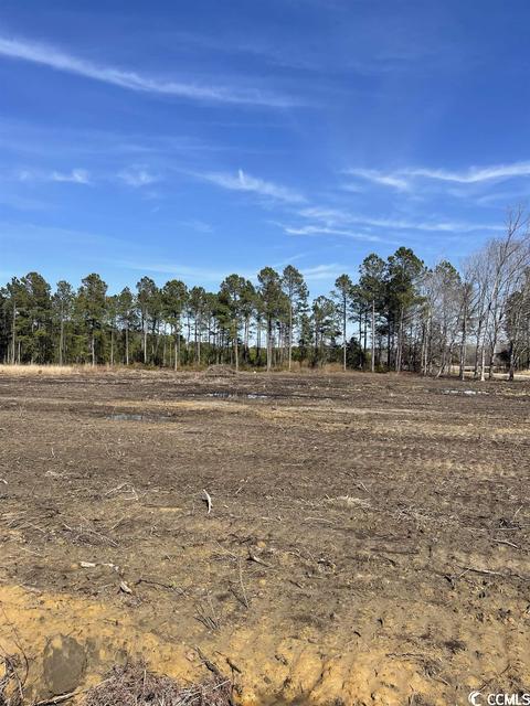 9184 W Highway 19, Loris, SC 29569