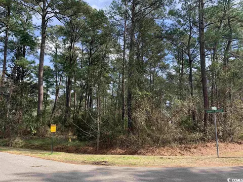 19 Patriot Ct, Georgetown, SC 29440