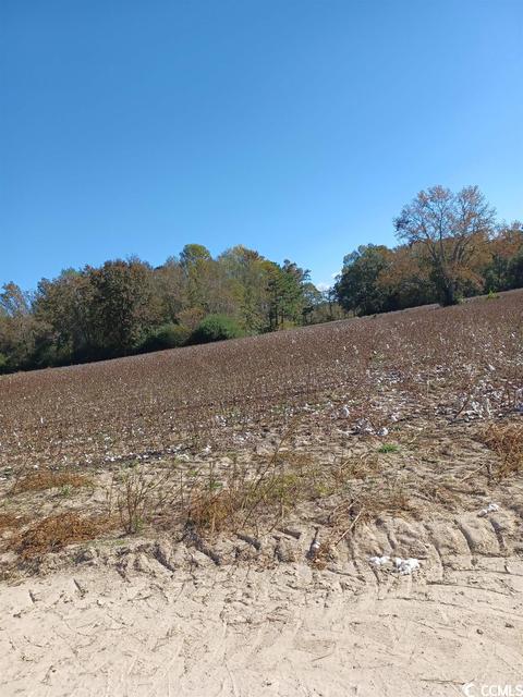 Lot 4 Wigley Rd., Loris, SC 29569