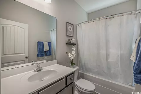 155 Palm Terrace Loop, Conway, SC 29526 photo 30