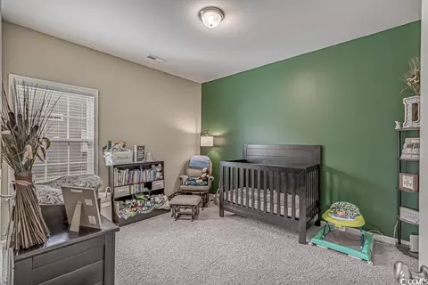 155 Palm Terrace Loop, Conway, SC 29526 photo 28