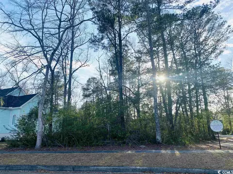 91 Middle Square Ln, Georgetown, SC 29440