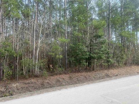 Lot 86 Day Star Way, Loris, SC 29569