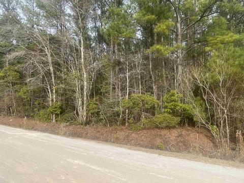 Lot 87 Day Star Way, Loris, SC 29569