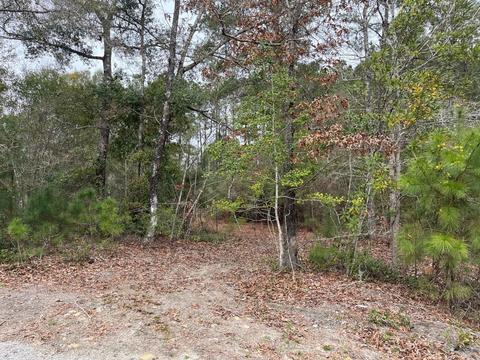 Tbd Country View Ct., Little River, SC 29566