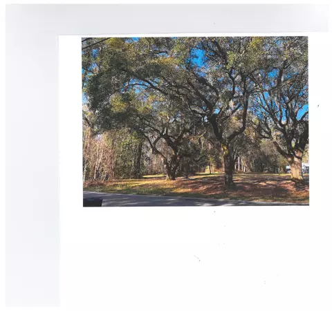 2818 S Island Rd, Georgetown, SC 29440