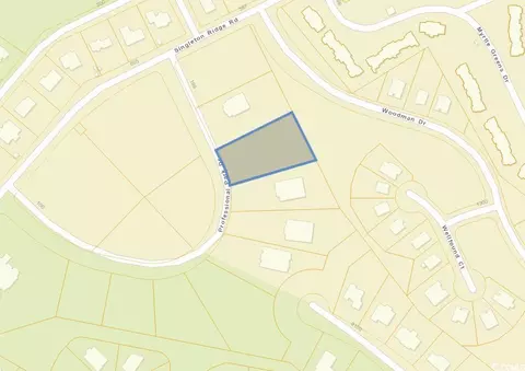 tbd Professional Park Dr, Conway, SC 29526
