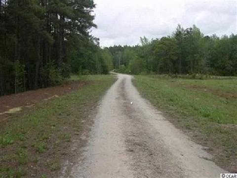 9186 Swamp Fox Hwy E, Tabor City, NC 28463