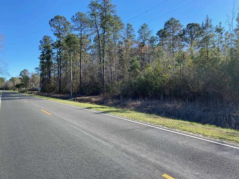tbd Wright Rd, Loris, SC 29569 photo 18