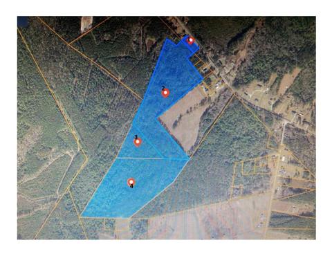tbd Wright Rd, Loris, SC 29569 photo 5
