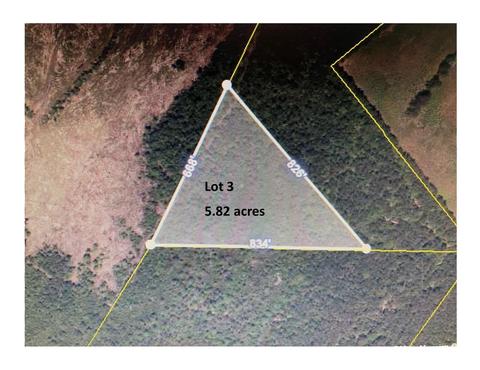 tbd Wright Rd, Loris, SC 29569 photo 8