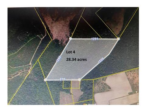 tbd Wright Rd, Loris, SC 29569 photo 9
