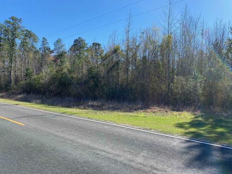 tbd Wright Rd, Loris, SC 29569 photo 16