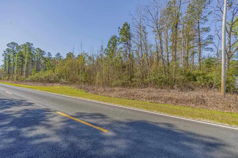 tbd Wright Rd, Loris, SC 29569 photo 14
