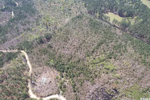 Tbd New Pine Rd., Johnsonville, SC 29555