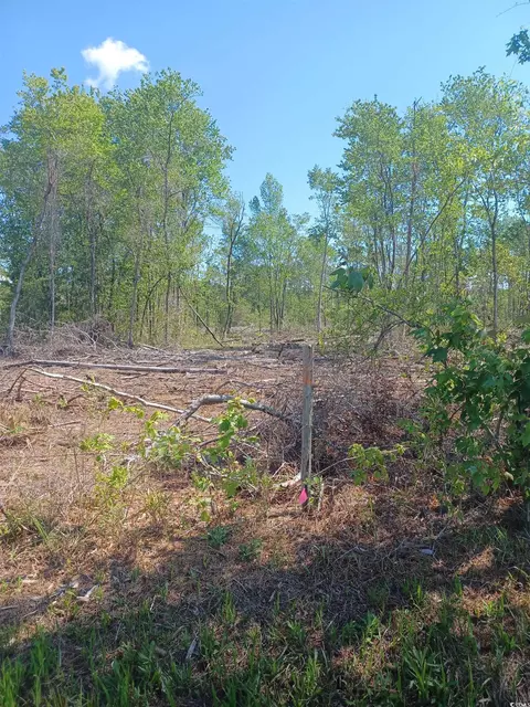 Tract 1 Luck Rd., Nichols, SC 29581