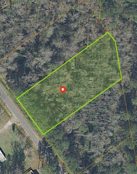 169 Crepe Myrtle Dr, Loris, SC 29569