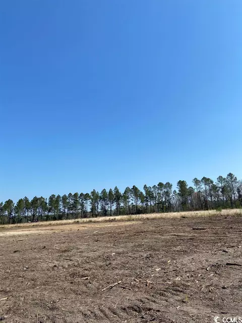 8736 W Highway 19, Loris, SC 29569
