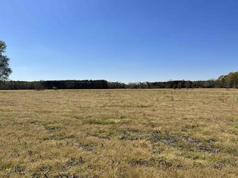 12 Ac S Firestation Rd, Johnsonville, SC 29555