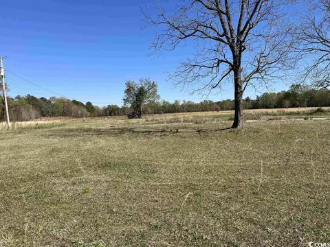 Tbd S. Firestation Rd., Johnsonville, SC 29555