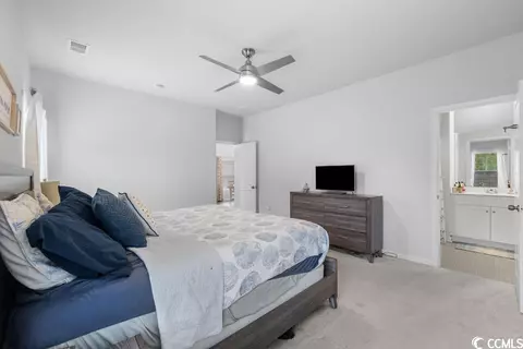 141 Cypress Tree Loop, Longs, SC 29568 photo 19