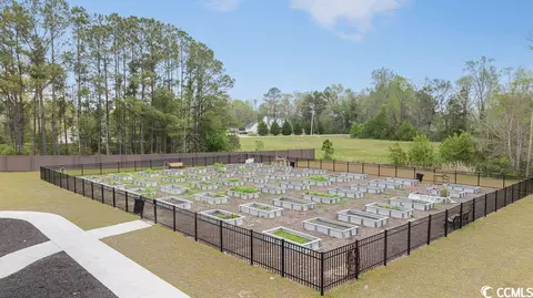 141 Cypress Tree Loop, Longs, SC 29568 photo 38