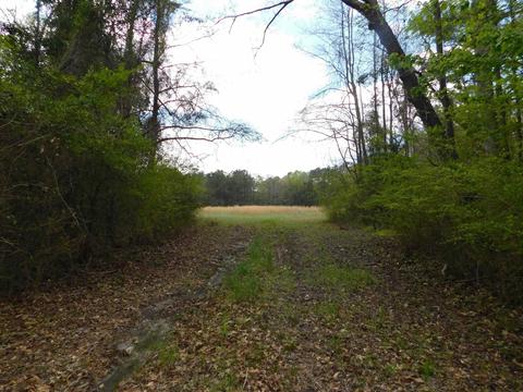 1326 Dothan Road, Tabor City, NC 28463