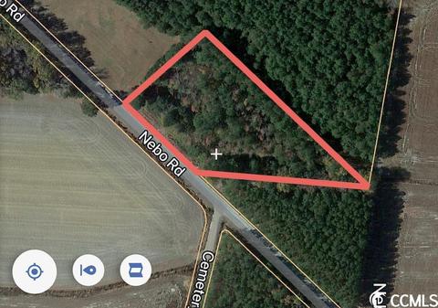 Tbd Nebo Rd., Gresham, SC 29546 photo 4